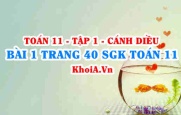 Bài 1 trang 40 SGK Toán 11 tập 1 Cánh Diều